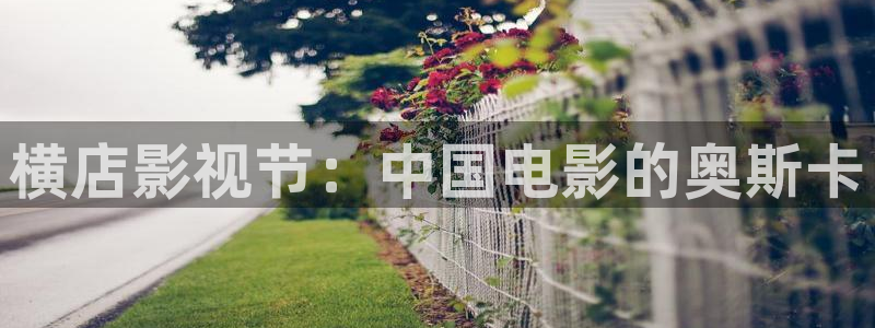 斑马140xiiii：横店影视节：中国电影的奥斯卡