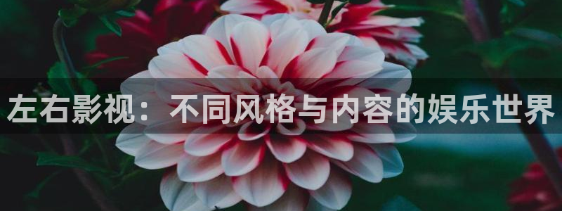 斑马视频电影免费观看下载：左右影视：不同风格与内容的娱乐世界