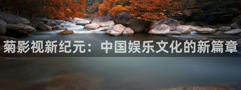 斑马170xi4：菊影视新纪元：中国娱乐文化的新篇章