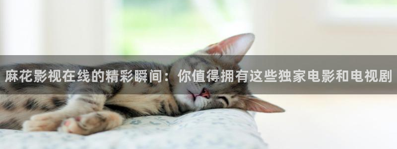 斑马系统吗：麻花影视在线的精彩瞬间：你值得拥有这些独家电影和电视剧