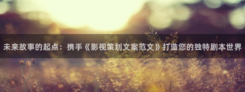 斑马系统吗：未来故事的起点：携手《影视策划文案范文》打造您的独特剧本世界