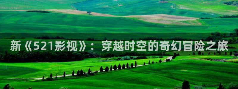 斑马电影免费版：新《521影视》：穿越时空的奇幻冒险之旅