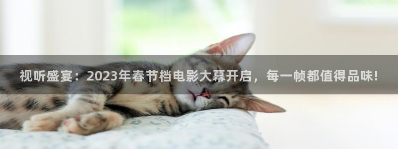 斑马的歌：视听盛宴：2023年春节档电影大幕开启，每一帧都值得品味!