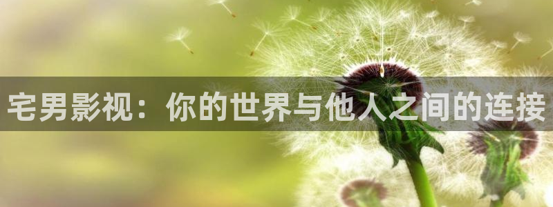 斑马影视app：宅男影视：你的世界与他人之间的连接