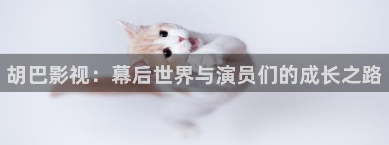 斑马mc3300：胡巴影视：幕后世界与演员们的成长之路