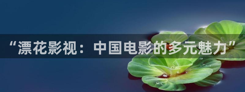 斑马系统2：“漂花影视：中国电影的多元魅力”