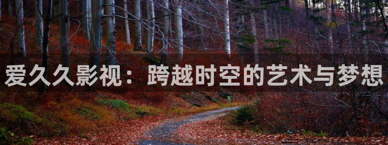 斑马0 7：爱久久影视：跨越时空的艺术与梦想