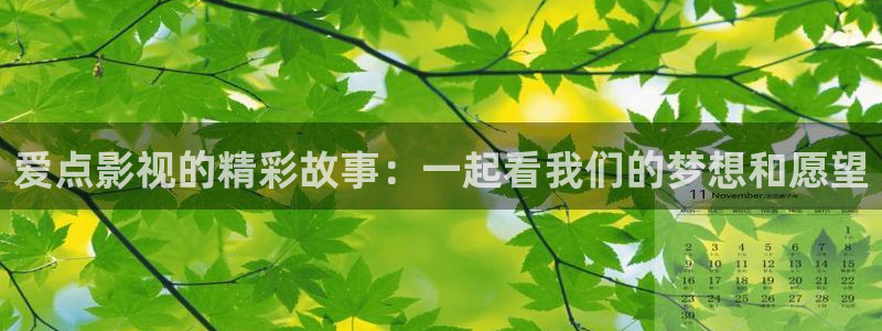 斑马电影妈妈的朋友：爱点影视的精彩故事：一起看我们的梦想和愿望