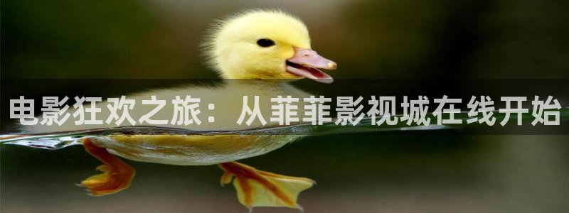 斑马vip：电影狂欢之旅：从菲菲影视城在线开始